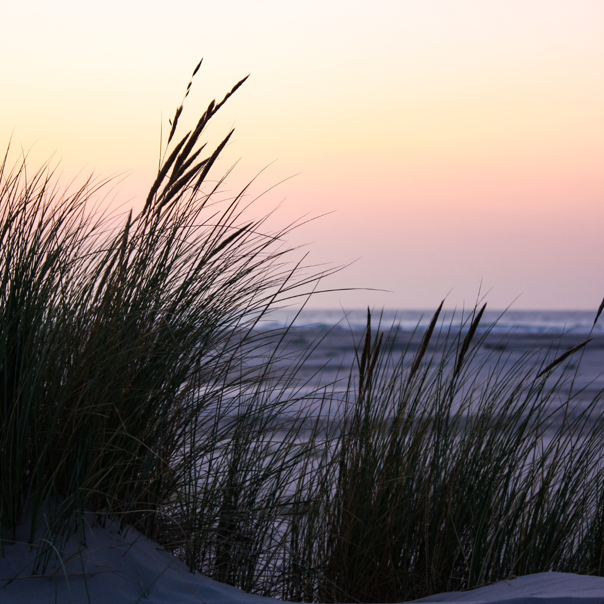 Top Things to Do Chatham - Chatham Wayside Inn